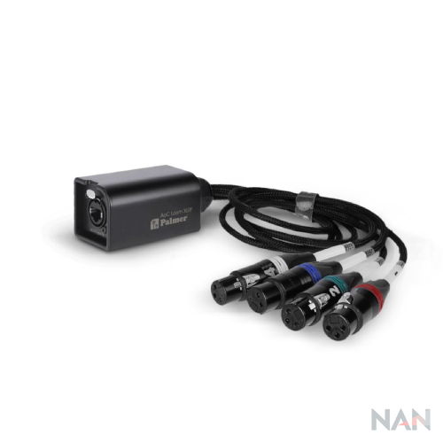 Palmer AoC Loom XLR F